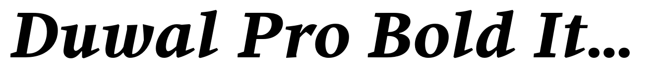 Duwal Pro Bold Italic